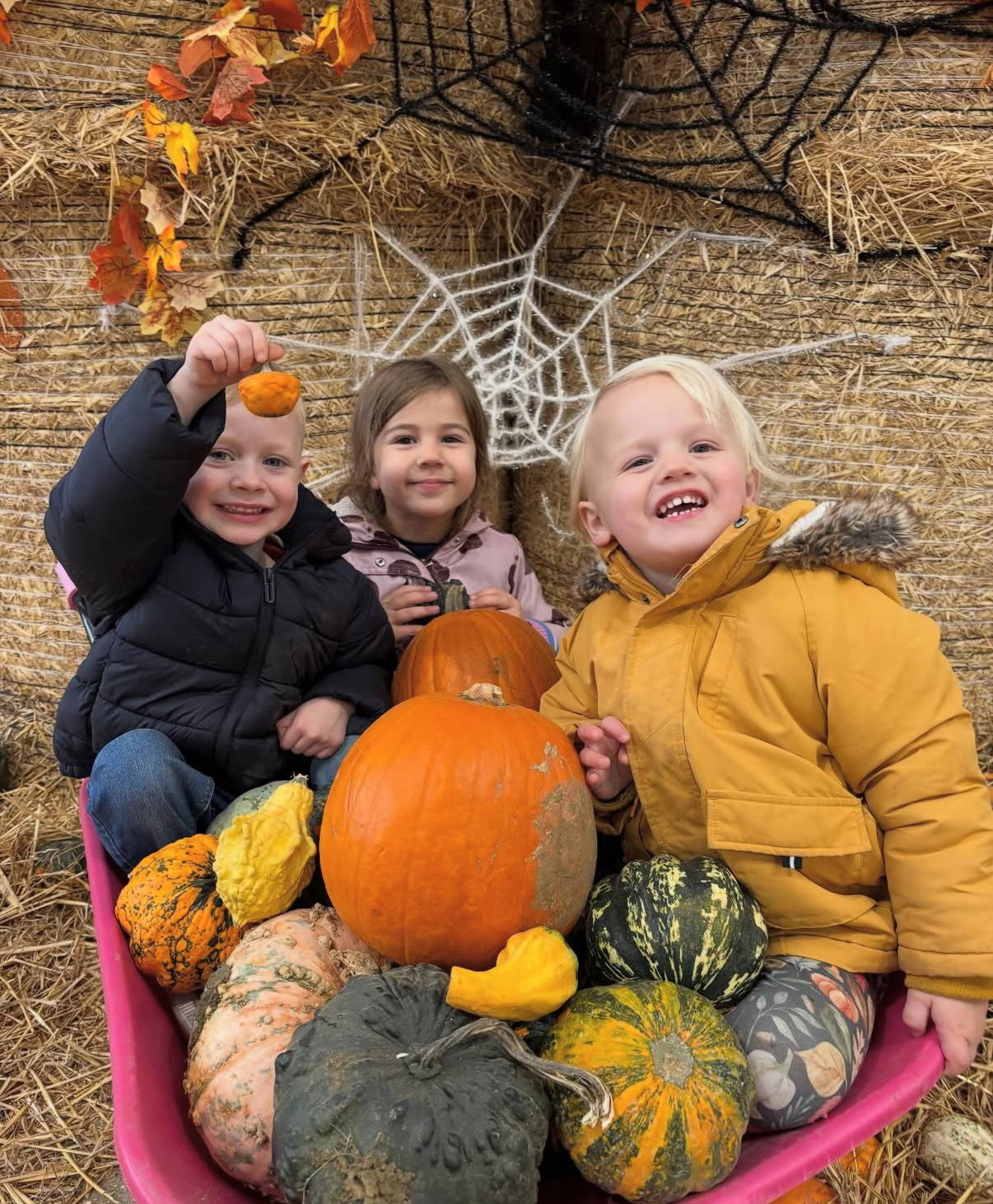 original-033431D2-80D2-4382-982B-456DF790A157